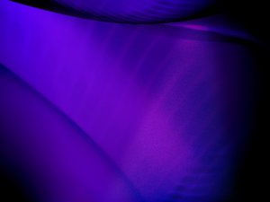 大石橋市奶酪有限責(zé)任公司